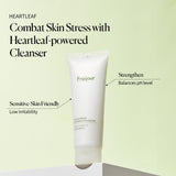 Heartleaf Blemish pH Balanced Cleansing Foam