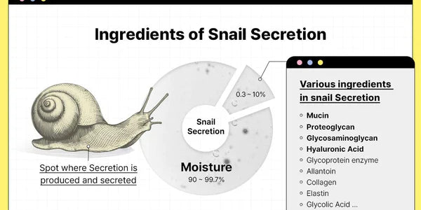 Snail Secretion
