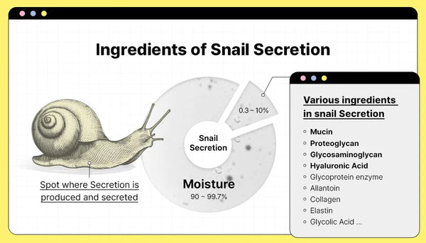 Snail Secretion