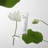 Calming Sensitive Lotus Cream