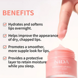 Overnight Lip Mask [Very Berry]
